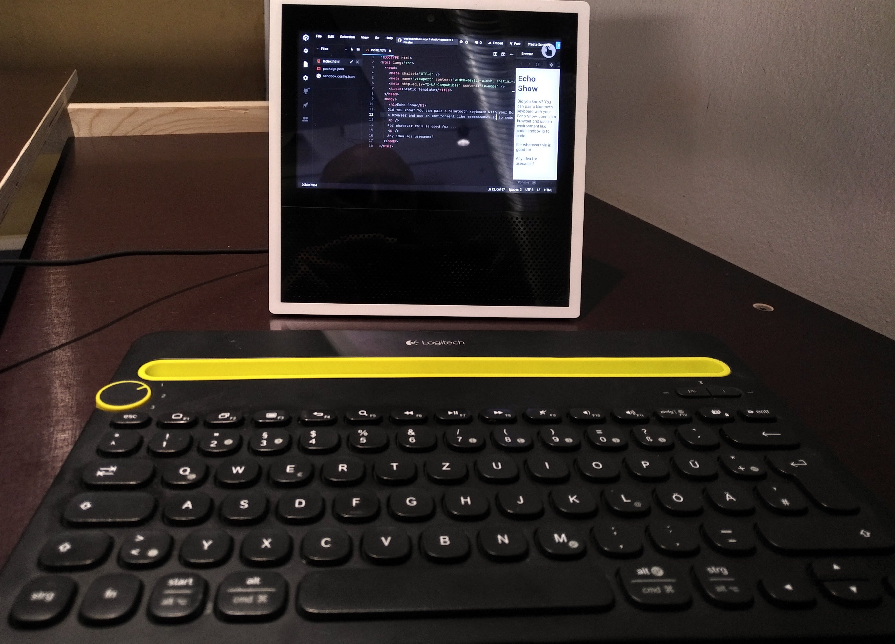 Echo Show mit Tastatur